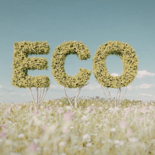 How to Live More Sustainably Without Being Perfect