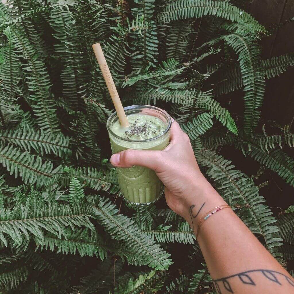 Reusable Bamboo Drinking Straws Set