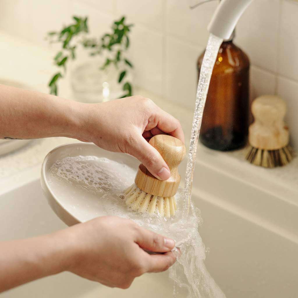 Pots & Pans Scrubbing Brushes