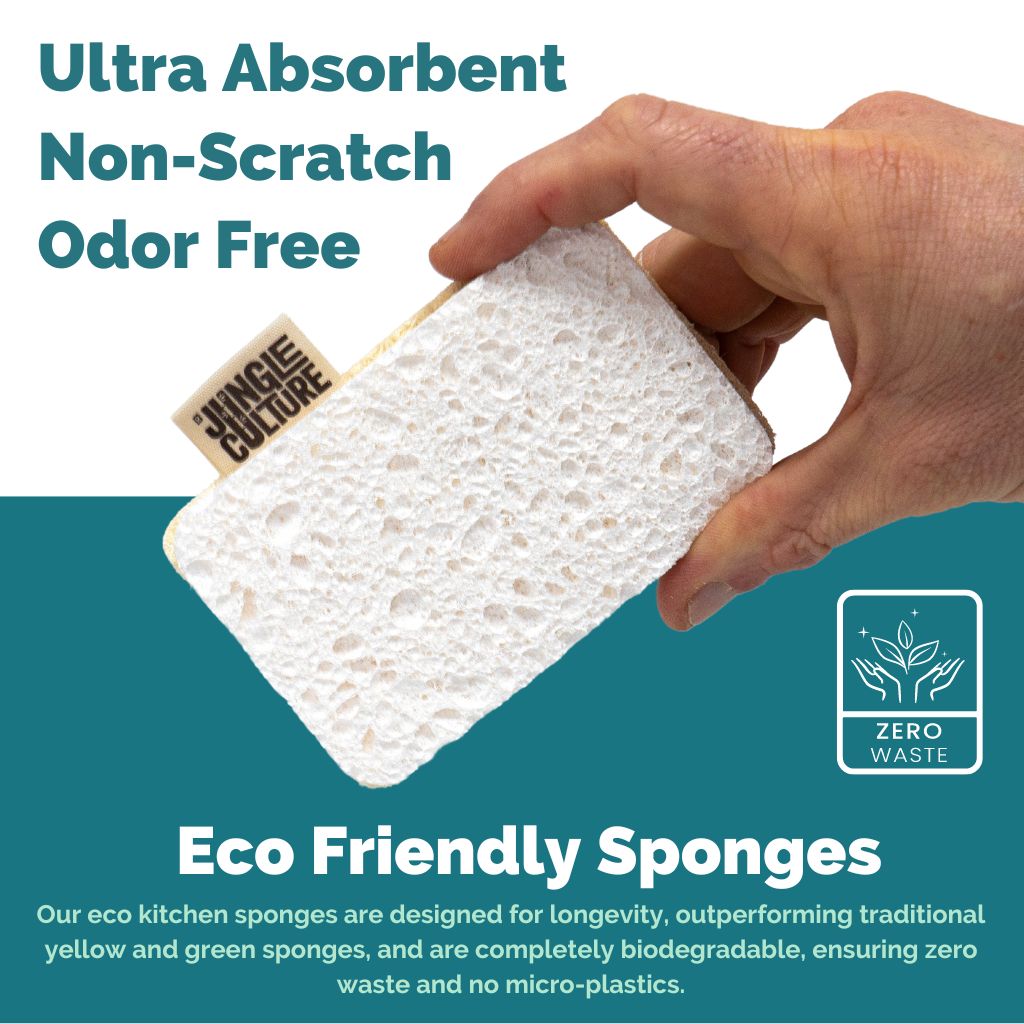 Eco Dish Sponges